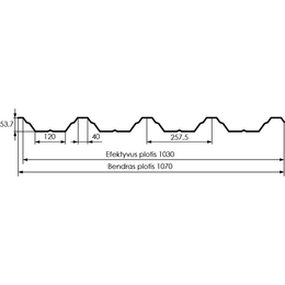 Trapecinė, aukšto profilio skarda HANBUD T-55 (53,7mm) žalia, blizgi (RAL6005), m2